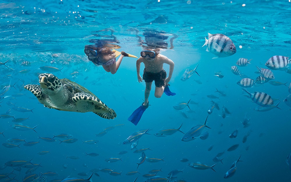 Kids snorkelling in Fiji waters. Image for Flights to Fiji page.
