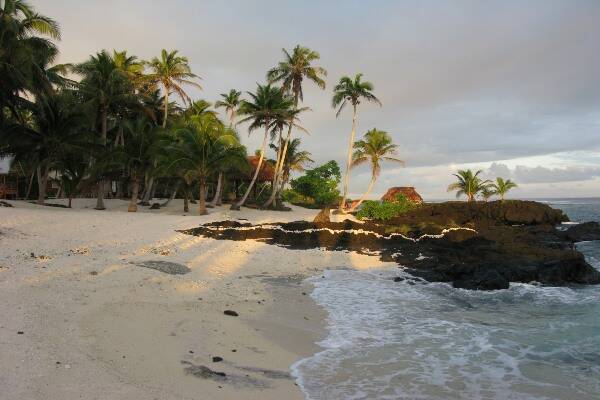 Sunset over palm trees on the beach in Samoa