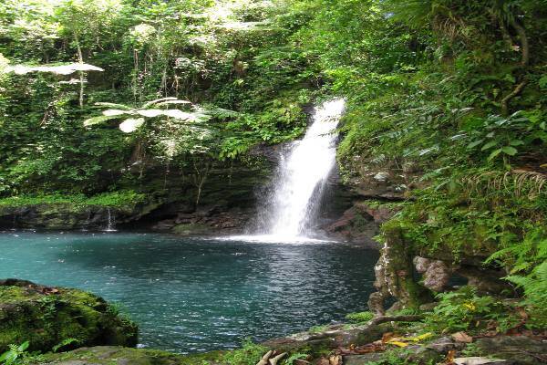 Waterfall swimming hole in rainforest, Samoa