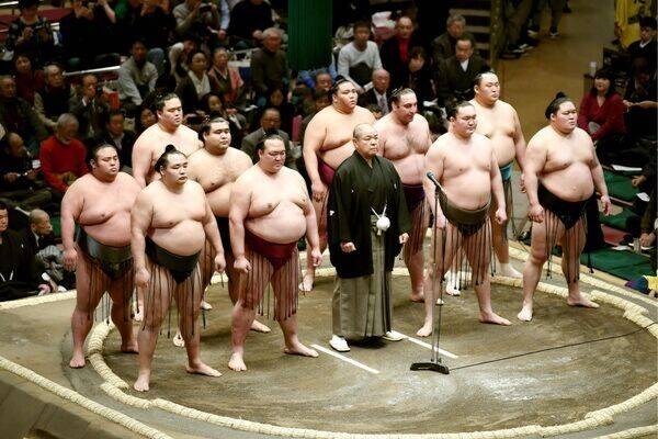 Sumo wrestling tournament, Tokyo, Japan