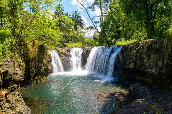 Rainforest waterfall in Samoa