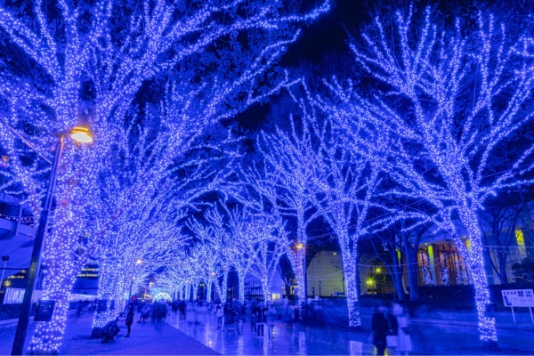Shibuya Blue Cave Tokyo