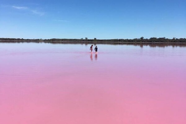 Incredible hues at one of Murray-Sunset National Park's four pink lakes, credit Visit Victoria