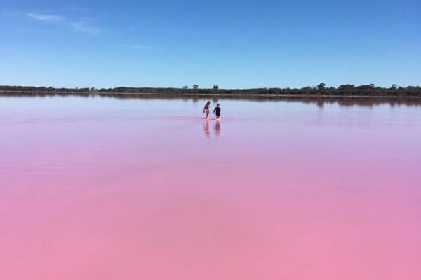 Incredible hues at one of Murray-Sunset National Park's four pink lakes, credit Visit Victoria