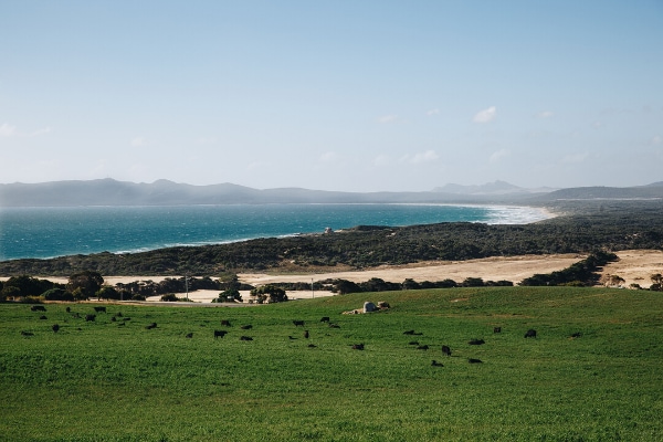 Flinders Island Credit Kara Hynes