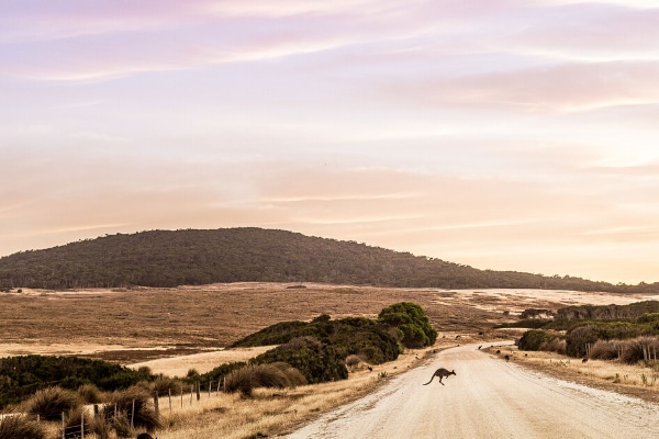 Flinders Island Credit Kara Hynes