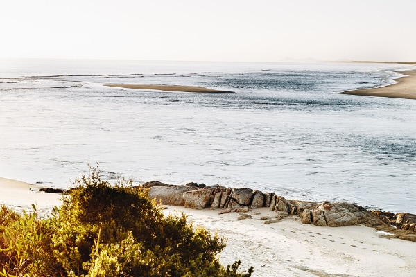 Typically rugged coastline of Flinders Island: Credit Kara Hynes