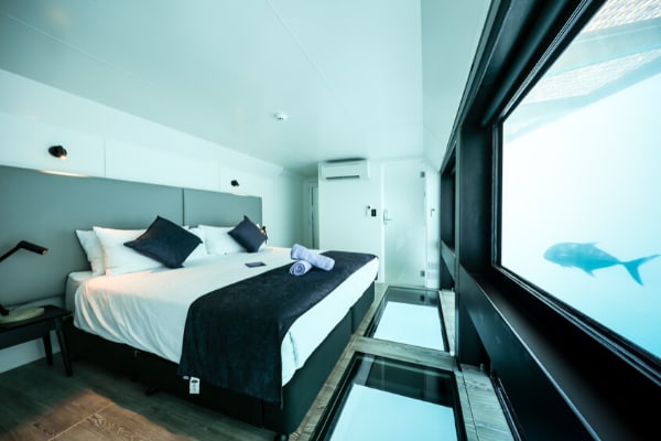 Reefsleep, Whitsundays Virgin Australia, credit Reefsleep.png
