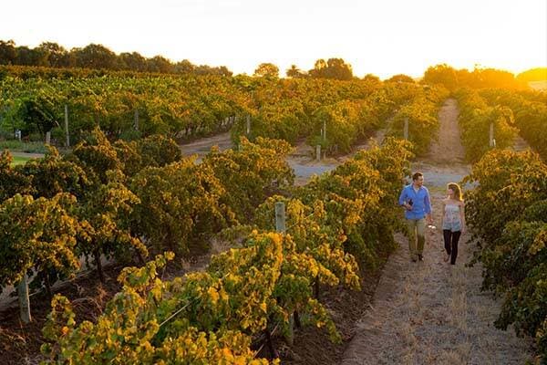 mclaren-vale