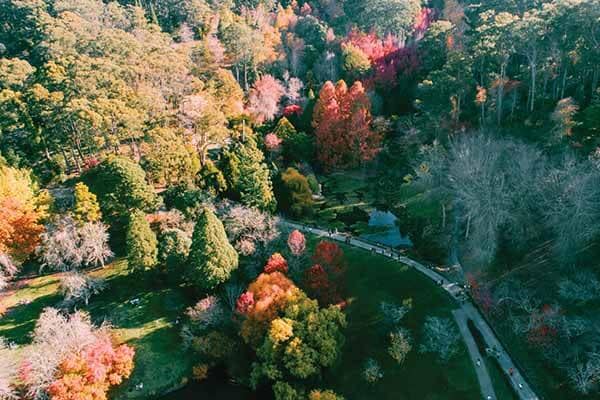 adelaide-hills