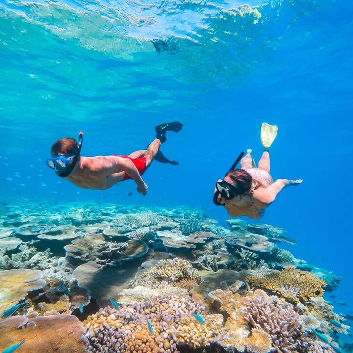 Great Barrier Reef