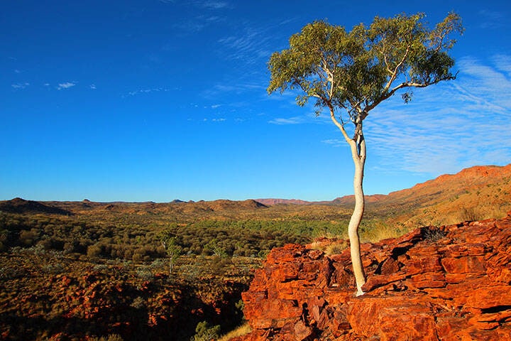 Trephina Gorge, Northern Territory
