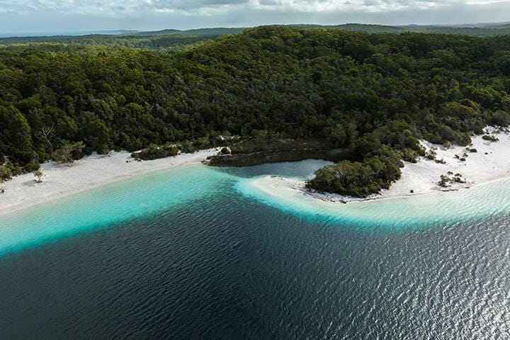 An aerial view of K'gari, showcasing lush greenery and a sandy beach that connects to the sparkling water.