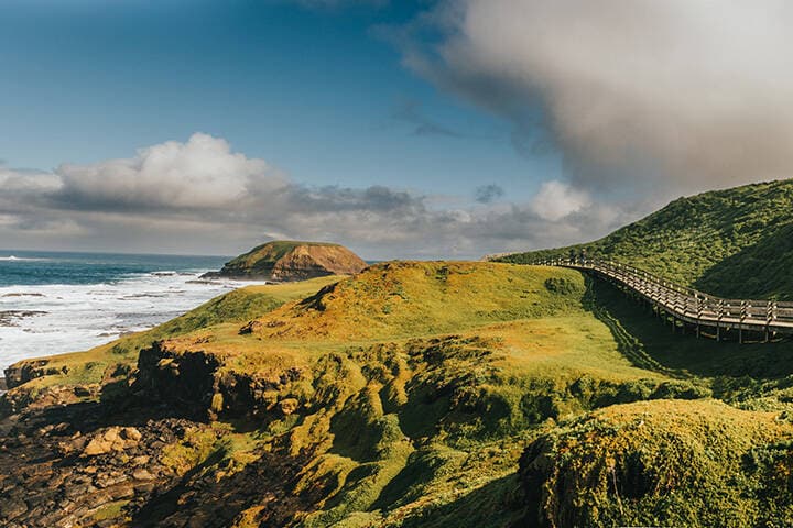 Phillip Island - The Nobbies, Walking Tracks