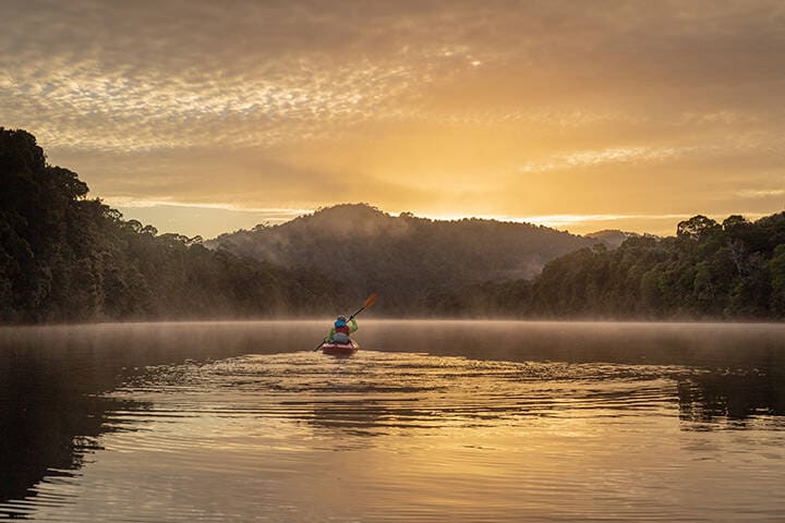 Tranquil paddle in a kayak at dawn down a flat river, with misty rainforest and mountain scenery