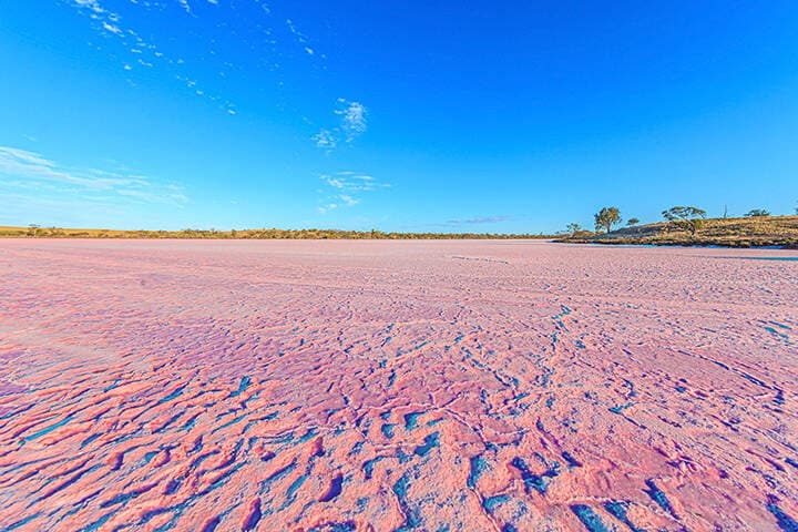 Incredible hues at one of Murray-Sunset National Park's four pink lakes