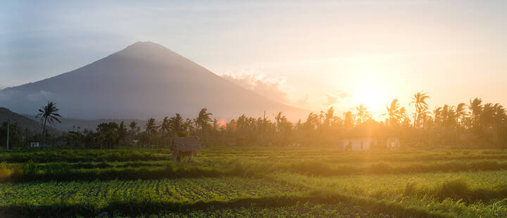 Sunrise over Bali rice fields with Mount Agung in the background
