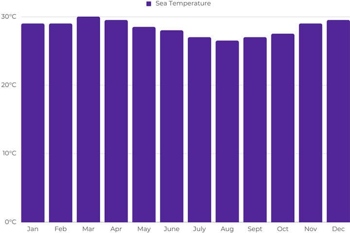 Bar graph of average monthly sea temperature in Bali