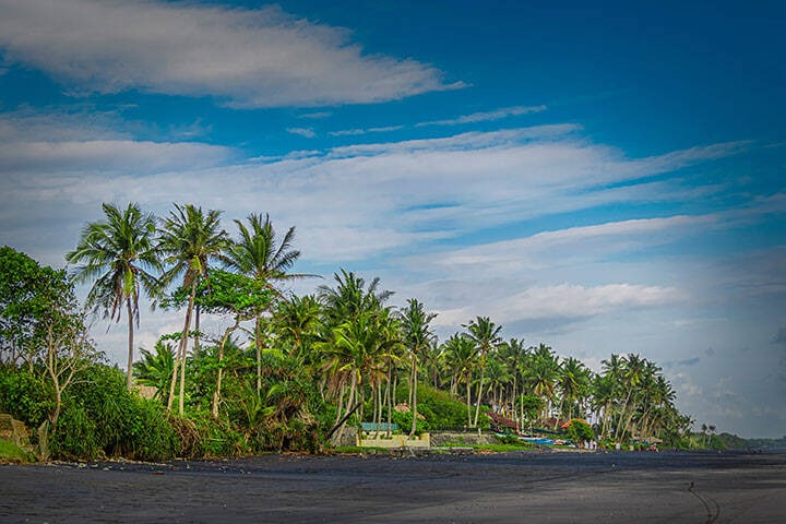 Palm trees and black sand shores at Pasut Beach, Bali