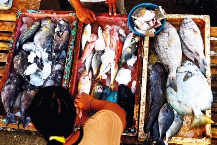 Fresh fish on display in baskets at Kedonganan Fish Market Kuta, Bali