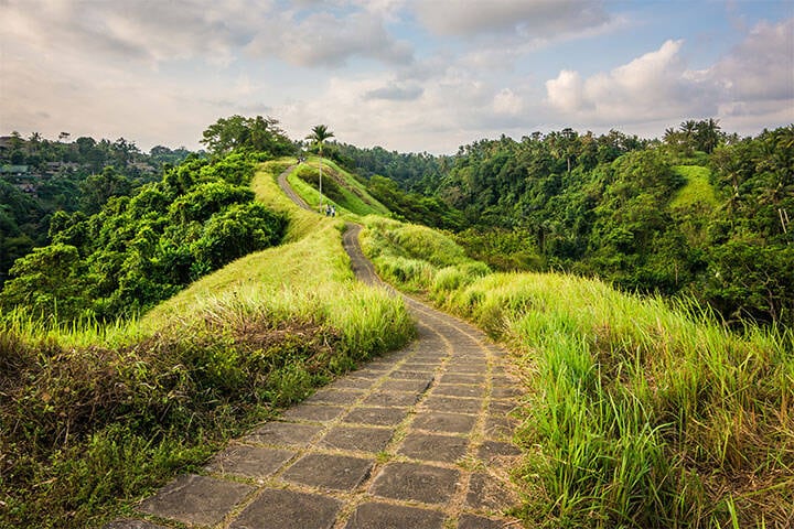 The paved pathway of Campuhan Ridge walk surrounded by long green grass and dense forest in the Bali countryside