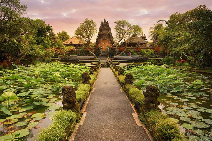 A paved pathway surrounded by a scenic lotus pond that leads to the Hindu Saraswati temple, featuring ornate architectural details.