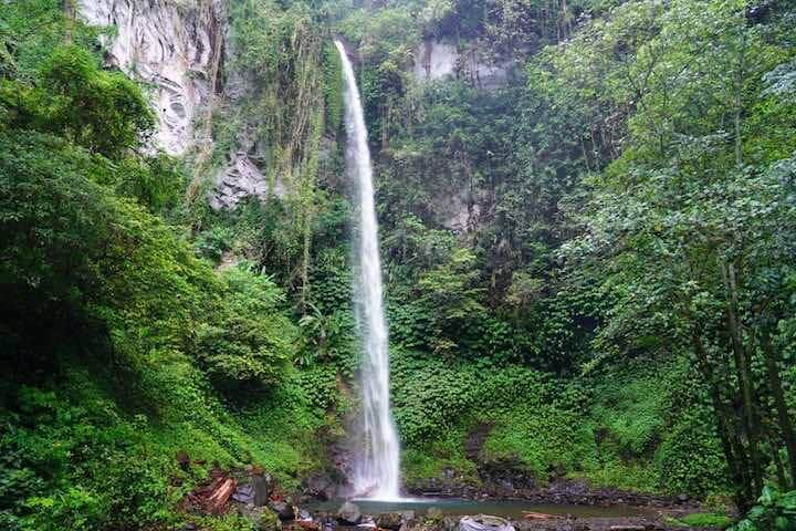 Water stream surrounded by rainforest flowing down onto rocks Blahmantung Waterfall, Bali