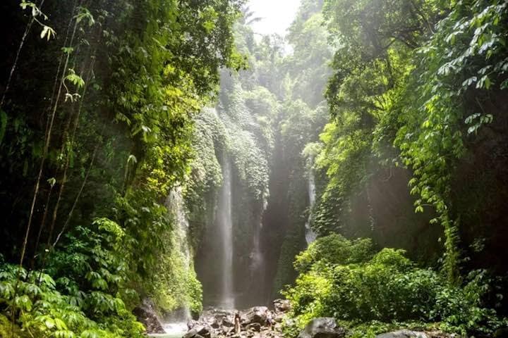 Waterfall inside rainforest greenery at Carat Waterfalls, Bali