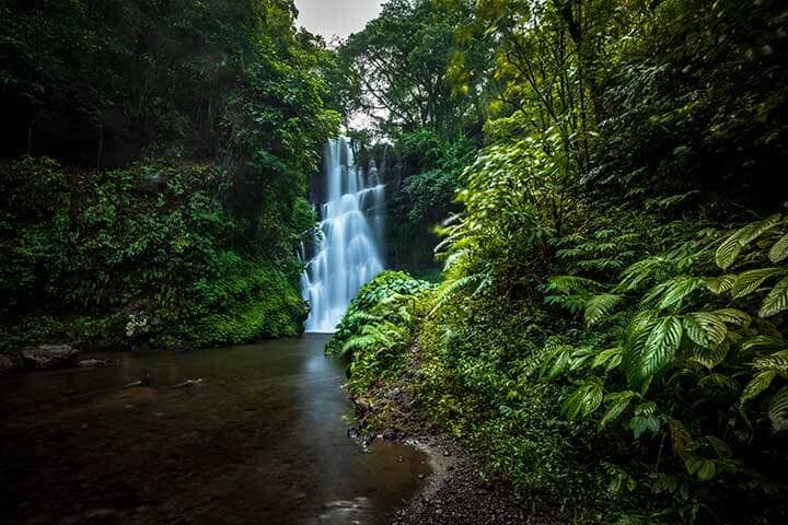  Beautiful hidden Cemara waterfall in tropical rainforest in Sambangan, Bali. 