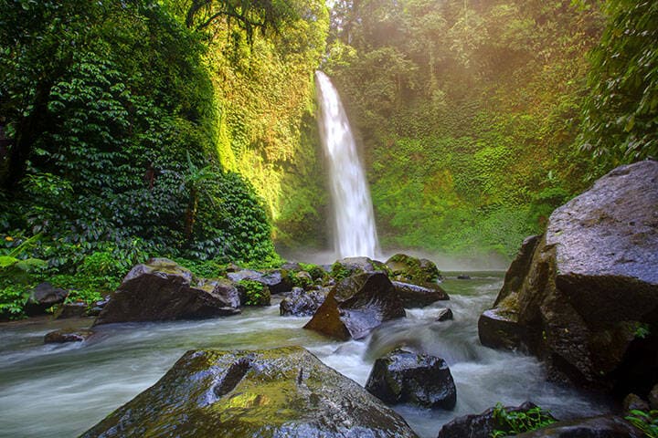 Nungnung Waterfall in Bali. Credit: Maygutyak from stock.adobe.com