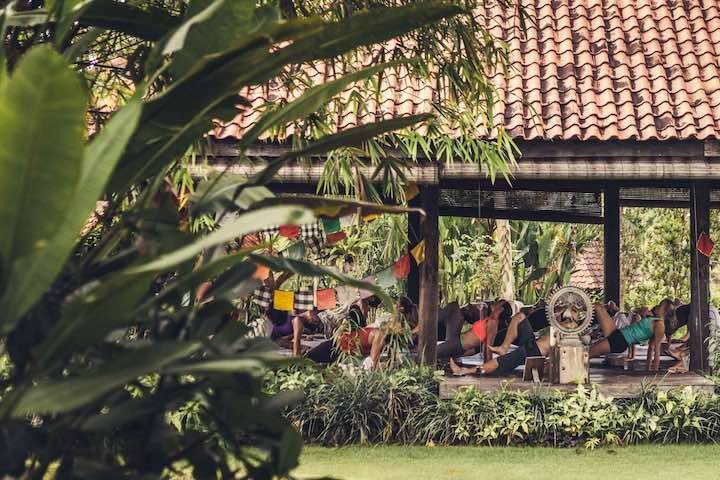 Palm trees and greenery with women doing morning yoga in outdoor studio at Desa Seni Yoga Canggu, Bali