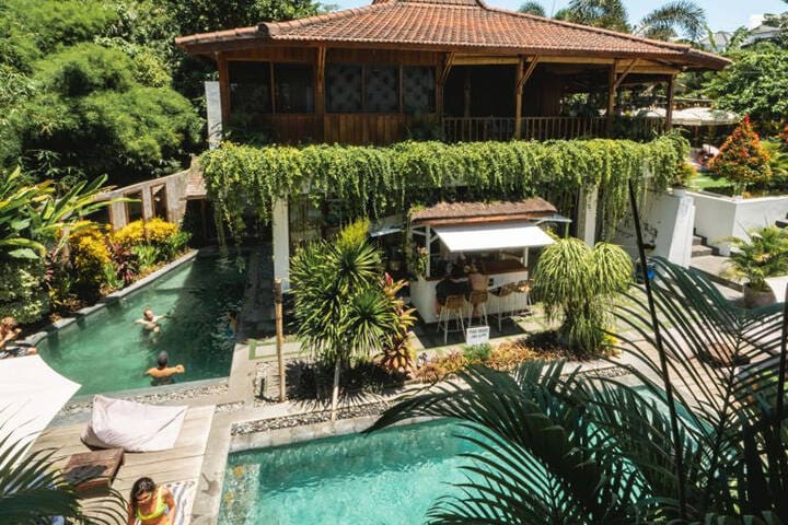 Lush greenery and communal pool area at the Farm Hostel, Canggu