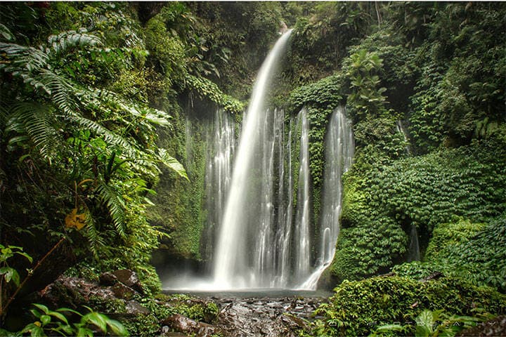 The cascades of Tiu Kelep Waterfall, surrounded by lush greenery and rainforest.