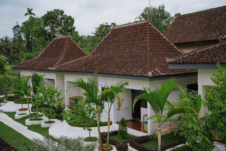 Villas surrounded by palm trees at Nirvana accommodation, East Lombok