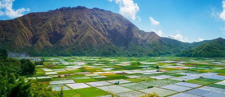 Foothills of Mount Rinjani, Lombok
