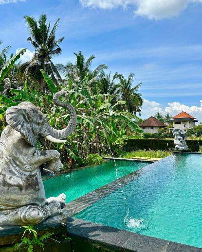 Elephant statue water feature sprinkling water into hotel pool at Rice Field House in Ubud, Bali