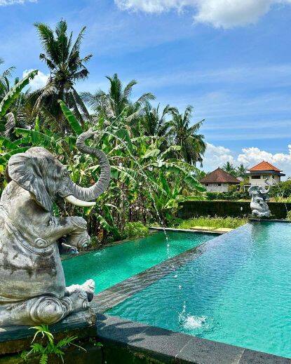 Elephant statue water feature sprinkling water into hotel pool at Rice Field House in Ubud, Bali