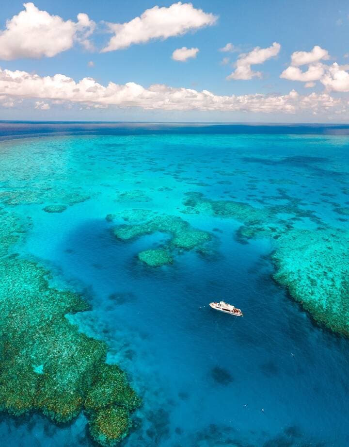 Coral Greenhouse 