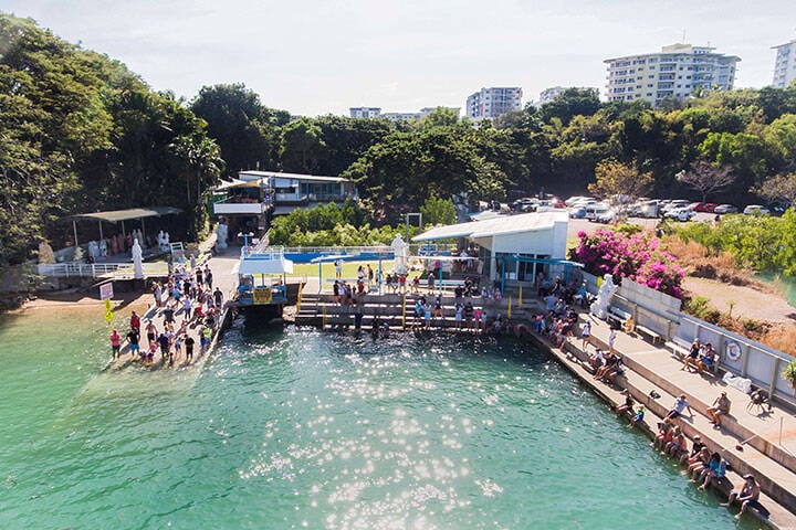Aquascene in Darwin, NT.  Right in the heart of Darwin, is Aquascene, where hundreds of fish come to shore at high tide to be fed by hand.
