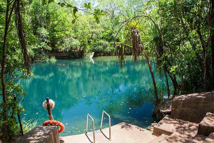 The entrance to the swimming hole at Berry Springs, a fresh water spring in the Northern Territory.