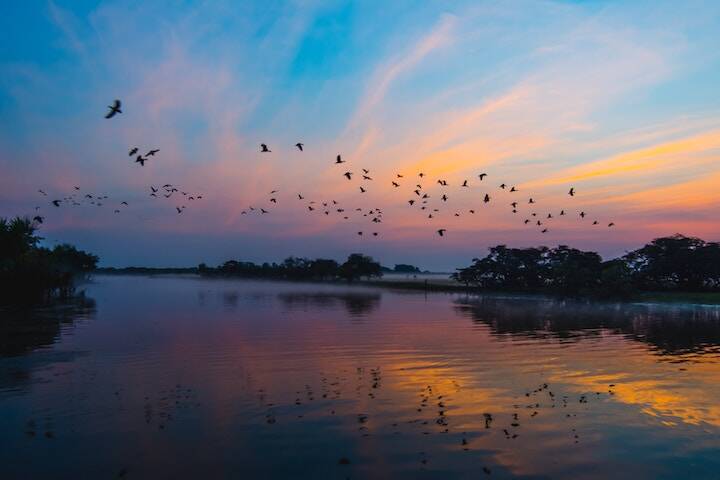Birds flying over sunset water at Ubirr Kakadu, Northern Territory