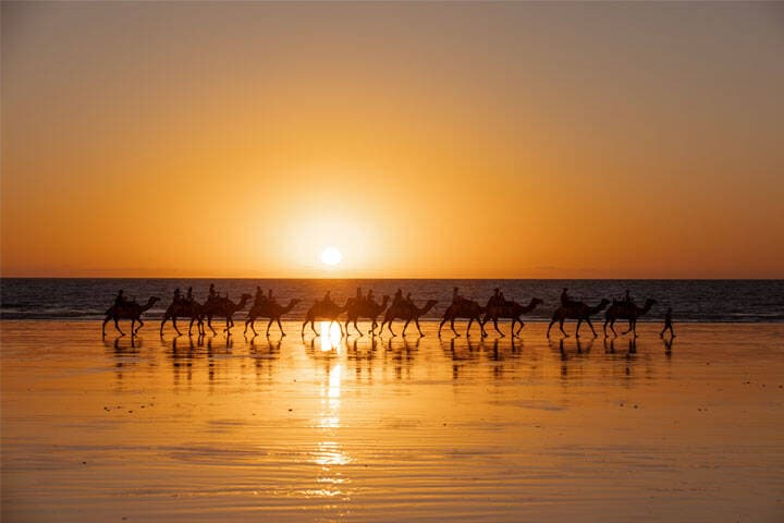 Sunset camel riding on the beach in Broome