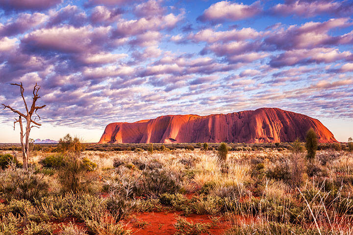 Uluru 