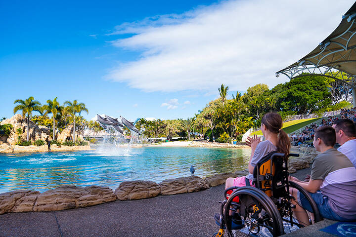 Family watching the Affinity Dolphin Presentation at Sea World Marine Park