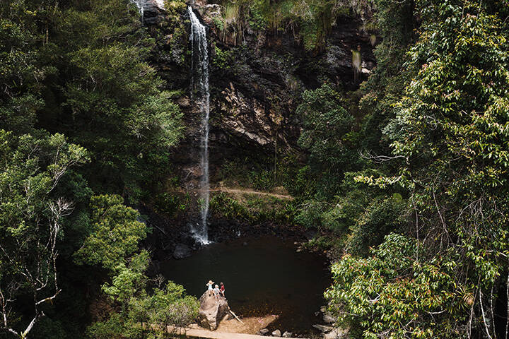 Twin Falls - Group hiking through the forest on the waterfall circuit at Springbrook National Park