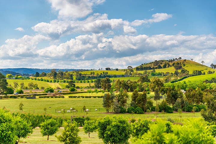 Farm in Yarra Valley Melbourne