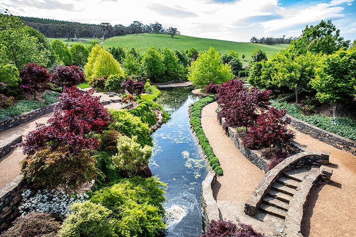 Flowers blooming in Spring at Mayfield Garden in Oberon