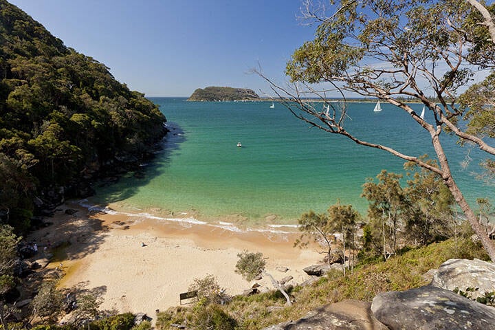 Resolute Beach at Ku-Ring-Gai Chase National Park. Views towards Barrenjoey Headland 
