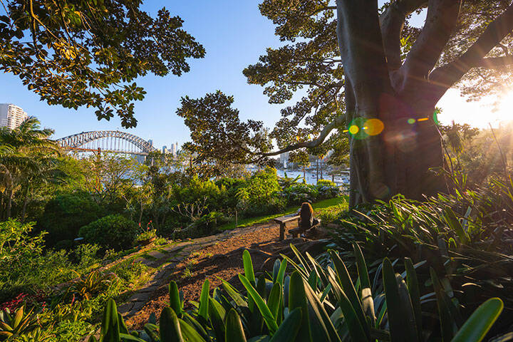 Woman enjoying the serenity in Wendy Whiteley's Secret Garden in Lavender Bay