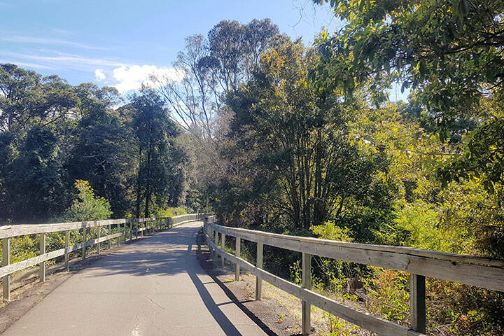 The Fernleigh Track a Walking and Bike Track in Newcastle New South Wales Australia. A disused railway track